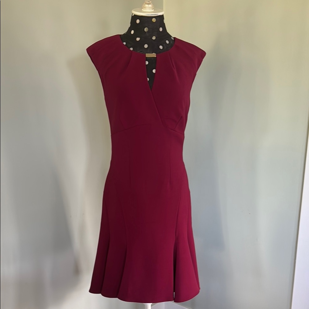 Elegant Burgundy Women's Dress
